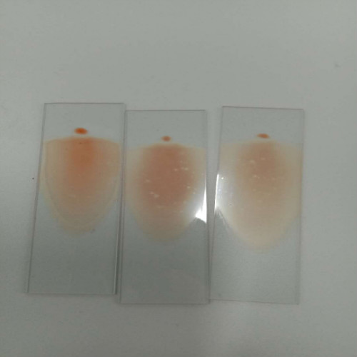 醫(yī)學(xué)檢驗(yàn)專業(yè)實(shí)訓(xùn)課剪影 醫(yī)學(xué)檢驗(yàn)專業(yè)實(shí)訓(xùn)課剪影