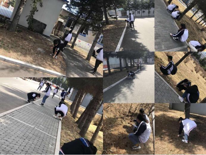 我校開展第31個愛國衛(wèi)生月活動