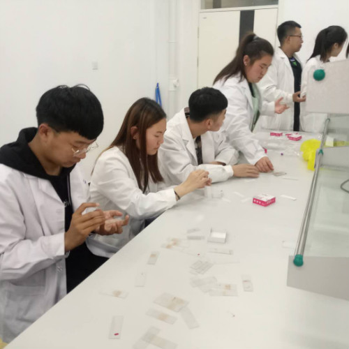 醫(yī)學(xué)檢驗(yàn)專業(yè)實(shí)訓(xùn)課剪影 醫(yī)學(xué)檢驗(yàn)專業(yè)實(shí)訓(xùn)課剪影