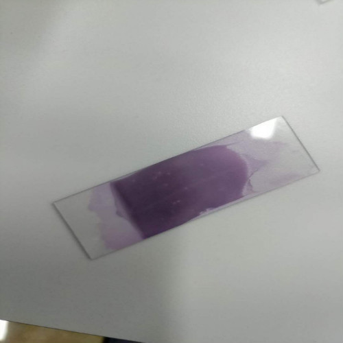 醫(yī)學(xué)檢驗(yàn)專業(yè)實(shí)訓(xùn)課剪影 醫(yī)學(xué)檢驗(yàn)專業(yè)實(shí)訓(xùn)課剪影