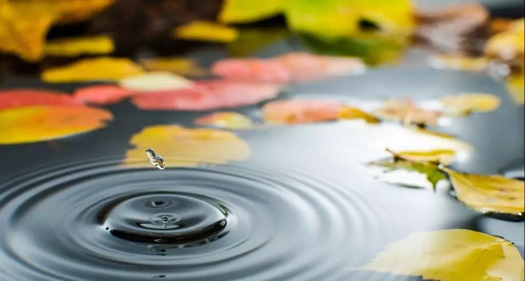 從容淡定_來自生活秩序感 從容淡定_來自生活秩序感