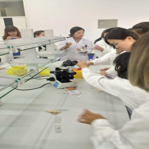 醫(yī)學(xué)檢驗(yàn)專業(yè)實(shí)訓(xùn)課剪影 醫(yī)學(xué)檢驗(yàn)專業(yè)實(shí)訓(xùn)課剪影