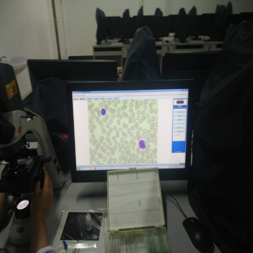 醫(yī)學(xué)檢驗(yàn)專業(yè)實(shí)訓(xùn)課剪影 醫(yī)學(xué)檢驗(yàn)專業(yè)實(shí)訓(xùn)課剪影