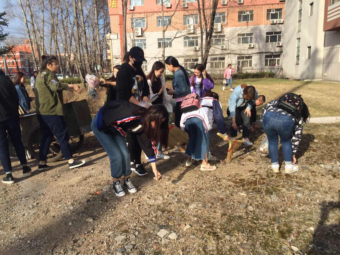 我院組織學(xué)生黨員、入黨積極分子開展義務(wù)勞動