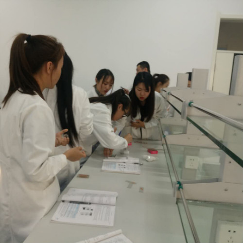醫(yī)學(xué)檢驗(yàn)專業(yè)實(shí)訓(xùn)課剪影 醫(yī)學(xué)檢驗(yàn)專業(yè)實(shí)訓(xùn)課剪影